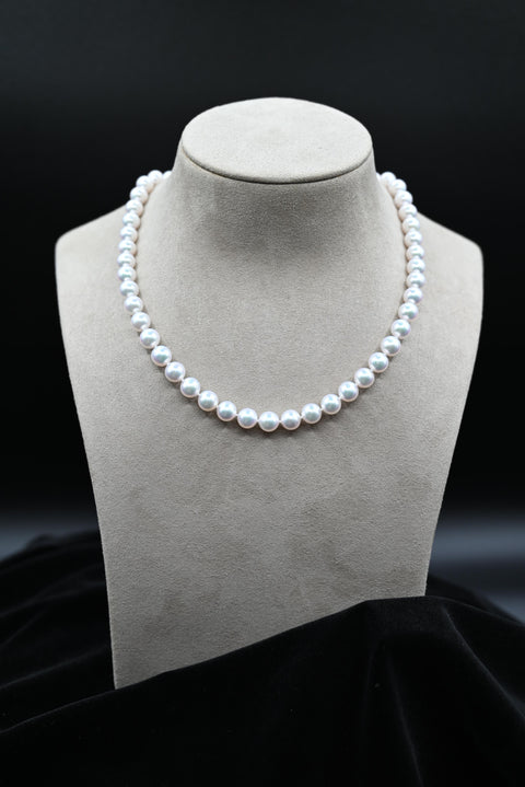 Akoya Cultured White Pearl Necklace with 14k White Gold Clasp