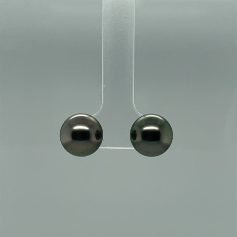 Tahitian Pearl Stud Earrings