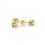 14K Natural Yellow Diamond Stud Earrings