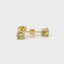 14K Natural Yellow Diamond Stud Earrings