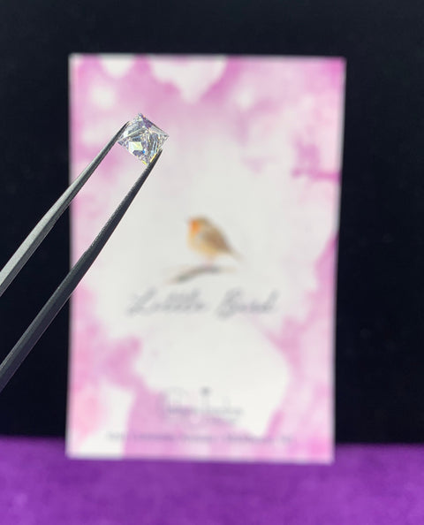 1.70 carat Princess Cut Natural Diamond - Chalmers Jewelers
