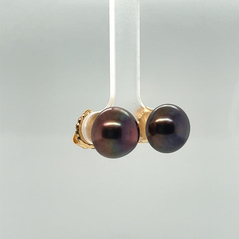 14k Yellow Gold Chocolate Button Pearl Stud Earrings