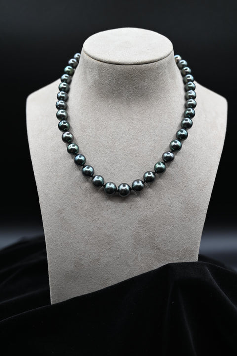 Natural Tahitian Pearl Strand with 14k White Gold Clasp