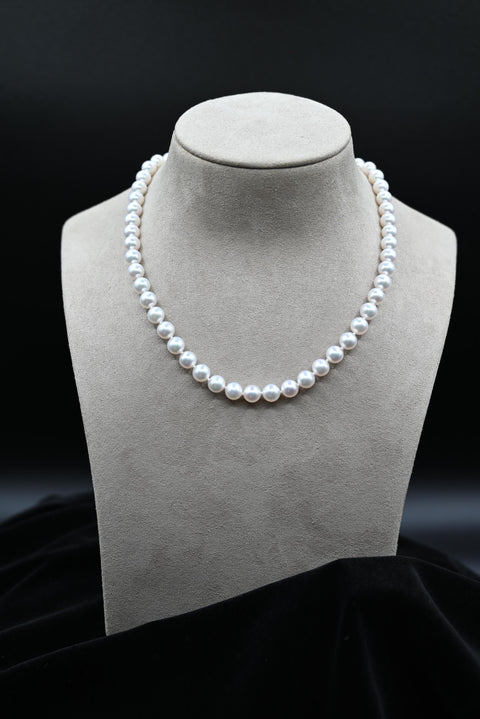 Akoya Cultured White Pearl Necklace with 14k White Gold Clasp