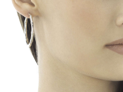 Medium Hoop Earring - Chalmers Jewelers