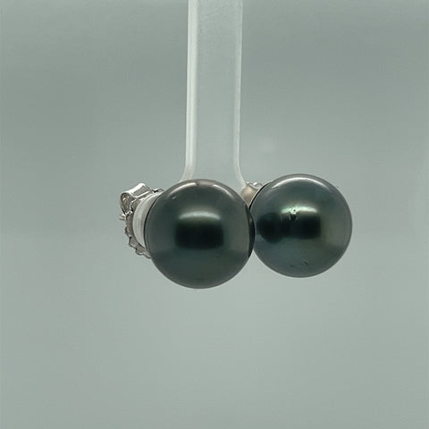 14mm Black Tahitian Pearl Stud Earrings