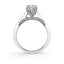 Round Solitaire Engagement Ring SY778 - Chalmers Jewelers